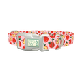 Apple Fruit Dog Collar - plastic silver