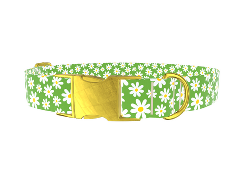 Green Daisy Meadow Dog Collar