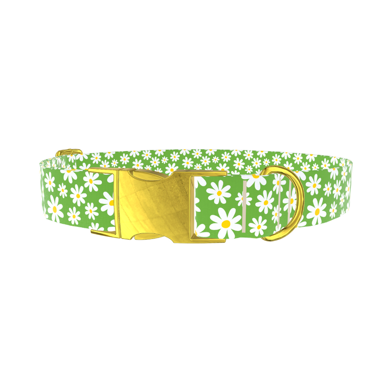 Green Daisy Meadow Dog Collar