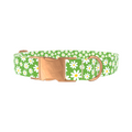 Green Daisy Meadow Dog Collar - Thumbnail 2