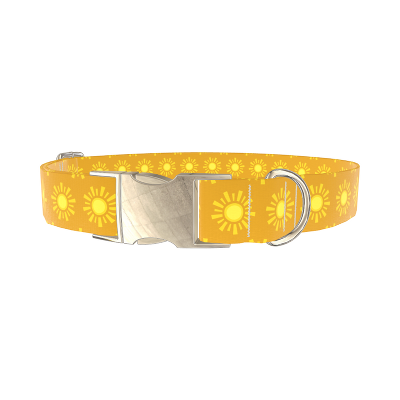 Sunburst Pattern Dog Collar