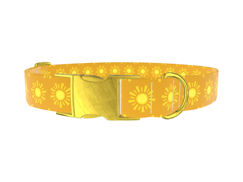 Sunburst Pattern Dog Collar