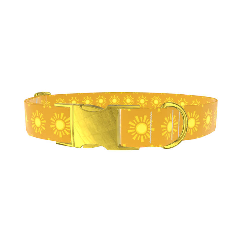 Sunburst Pattern Dog Collar