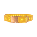 Sunburst Pattern Dog Collar - Thumbnail 2