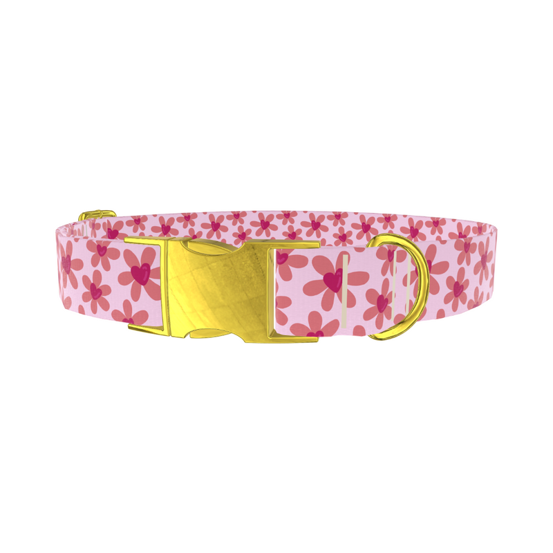 Floral Heart Dog Collar