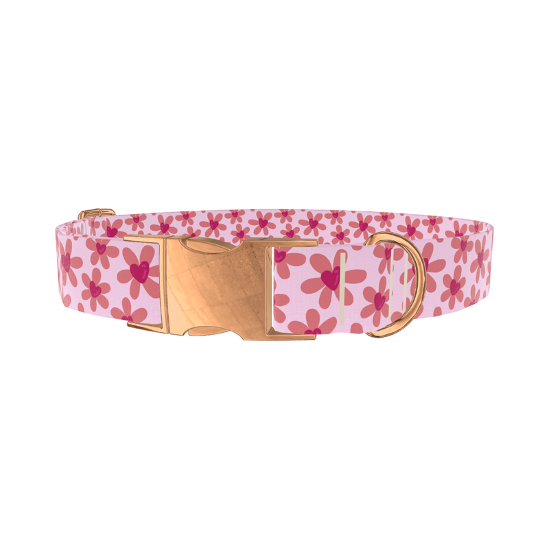 Floral Heart Dog Collar