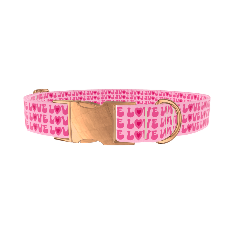 Valentine Love Dog Collar