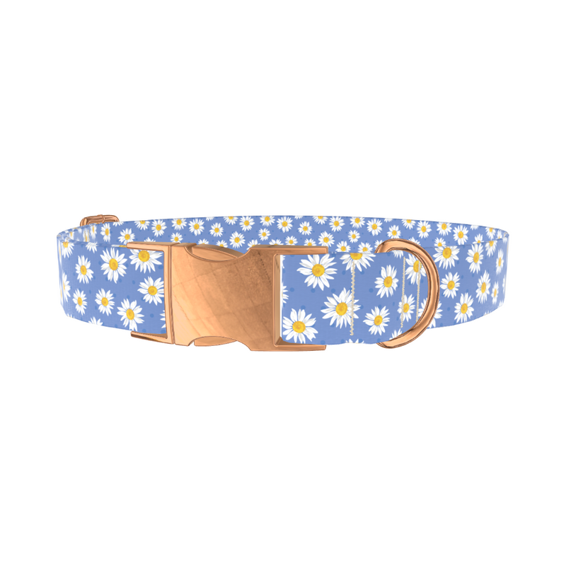 Blue Polka Dot Daisy Dog Collar