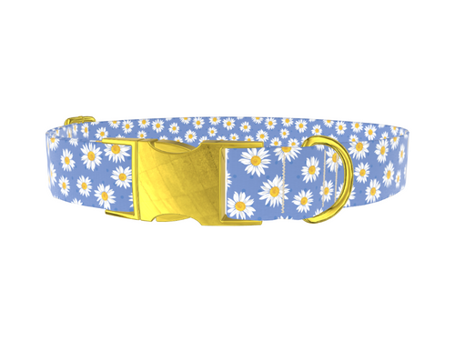 Blue Polka Dot Daisy Dog Collar