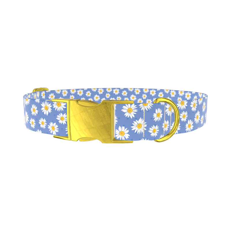 Blue Polka Dot Daisy Dog Collar