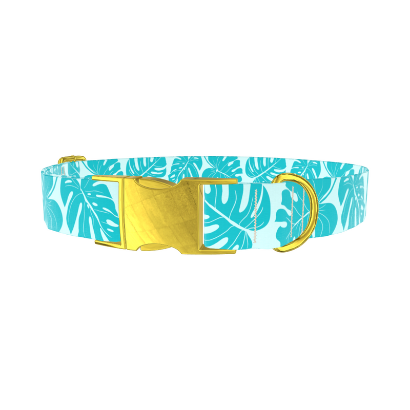 Tropical Monstera Dog Collar