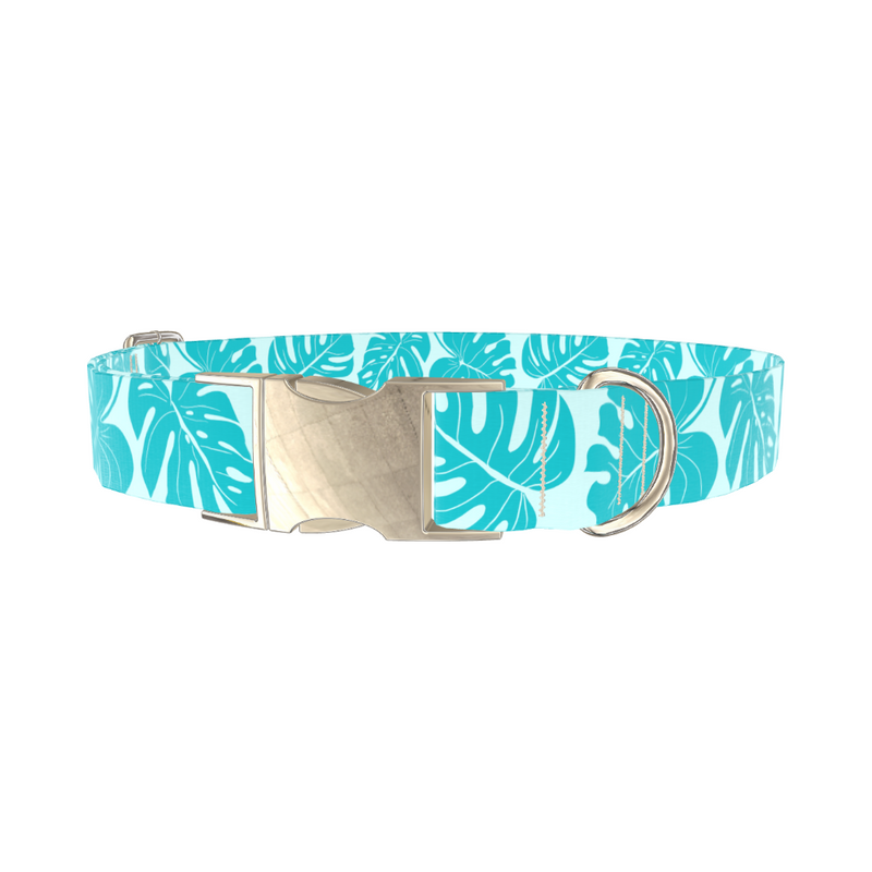 Tropical Monstera Dog Collar