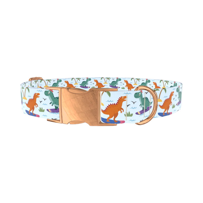 Dinosaur Surf Dog Collar