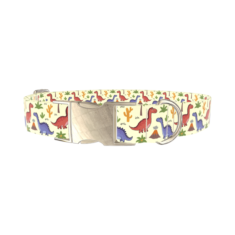 Dinosaur Volcano Dog Collar