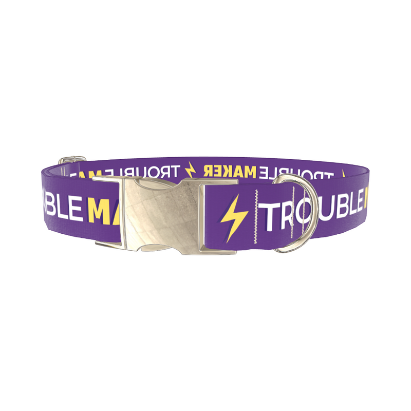 Trouble Maker Dog Collar
