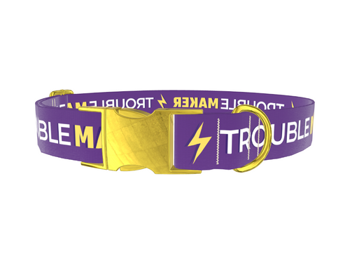 Trouble Maker Dog Collar