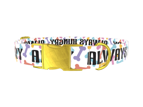 Bone Pattern Dog Collar