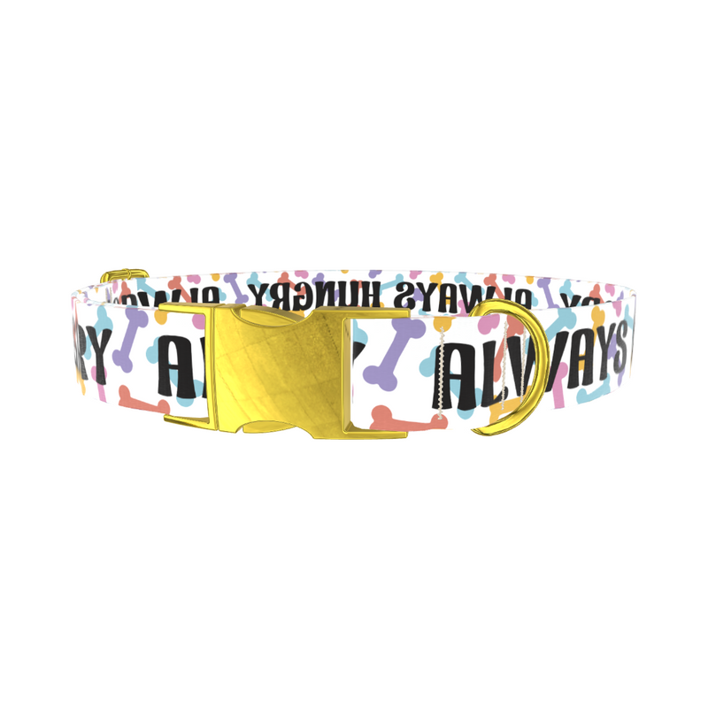 Bone Pattern Dog Collar