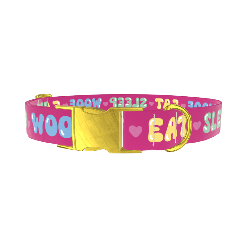 Colorful Text Heart Dog Collar