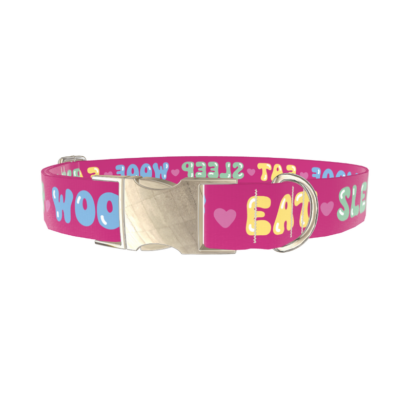 Colorful Text Heart Dog Collar