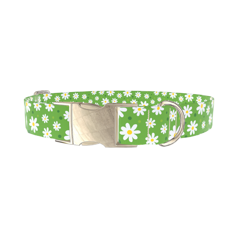 Floral Daisy Dog Collar