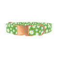 Floral Daisy Dog Collar - Thumbnail 2