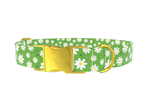 Floral Daisy Dog Collar