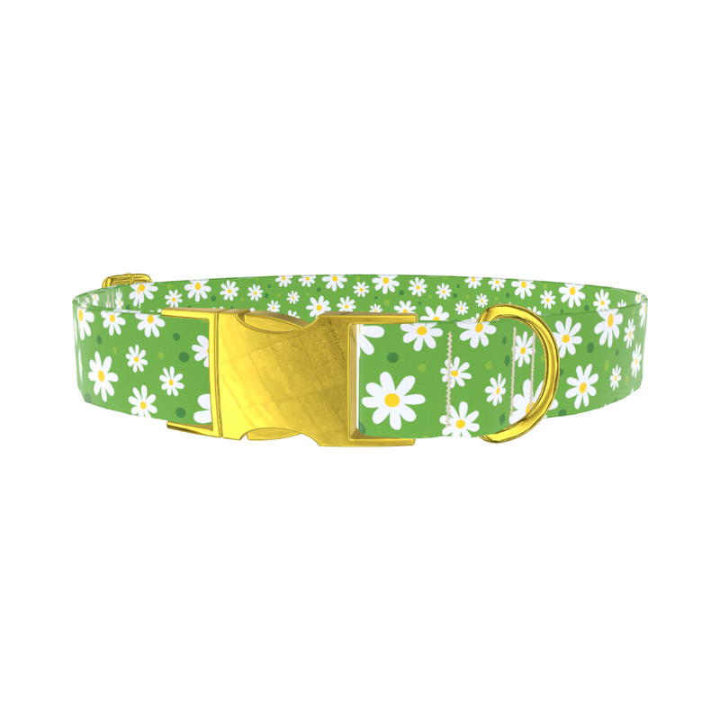 Floral Daisy Dog Collar