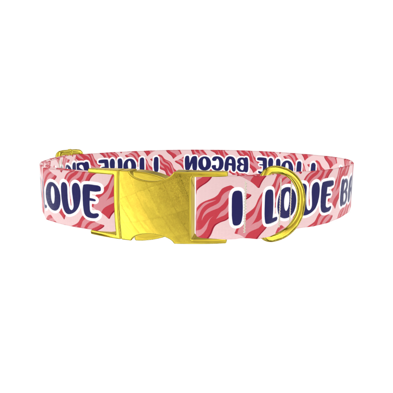 Bacon Love Dog Collar