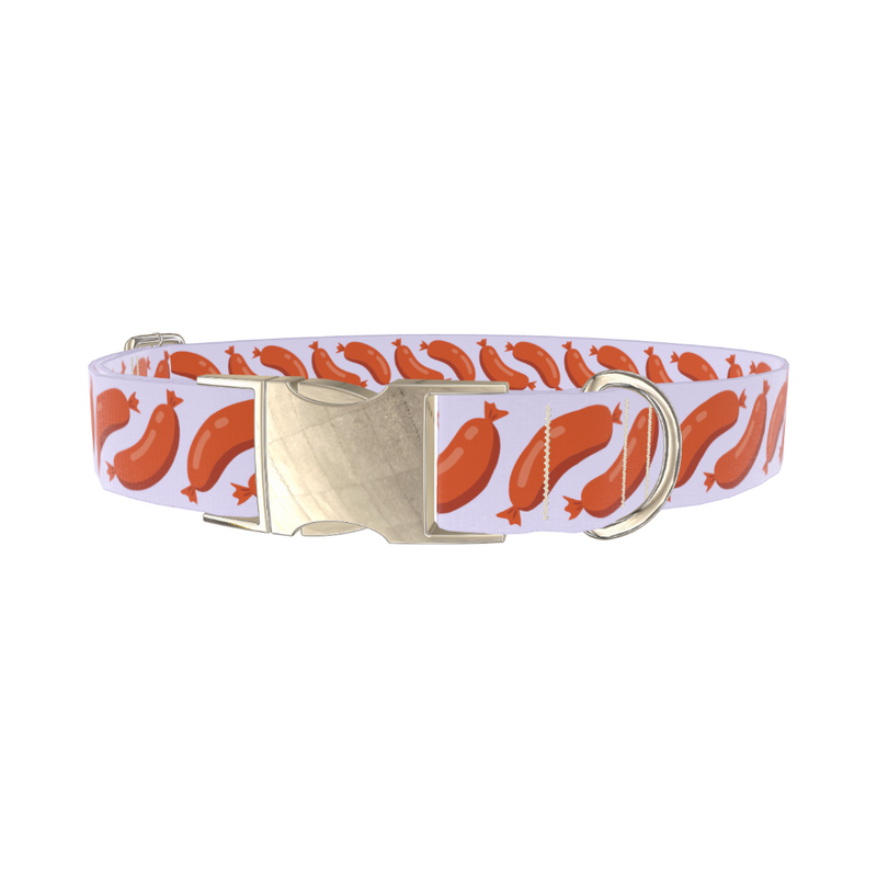 Playful Sausage Dog Collar