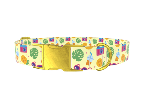 Pineapple Beach Dog Collar
