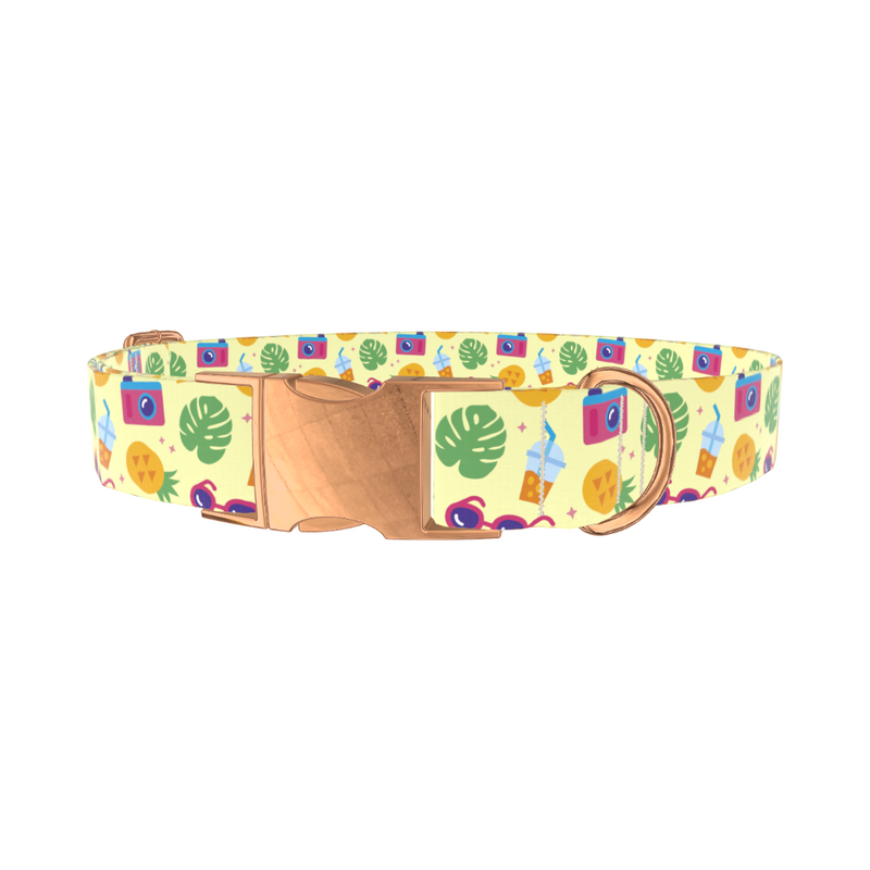 Pineapple Beach Dog Collar
