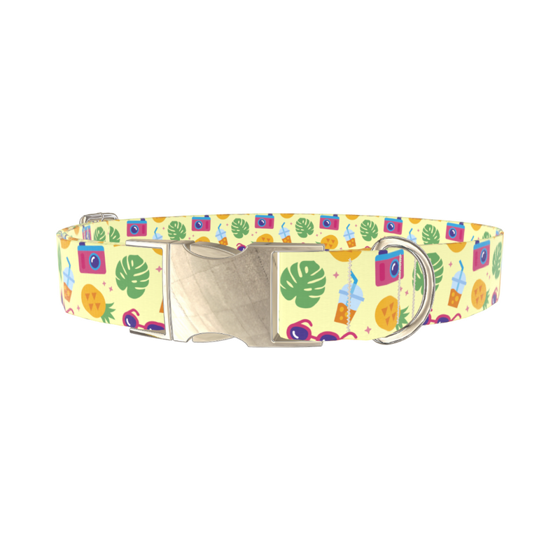 Pineapple Beach Dog Collar