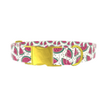 Watermelon Fruit Dog Collar - Thumbnail 1