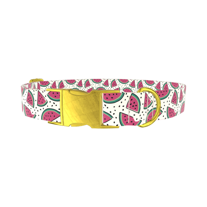 Watermelon Fruit Dog Collar