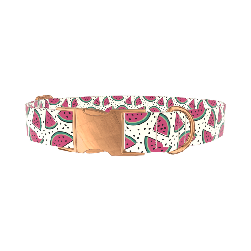Watermelon Fruit Dog Collar
