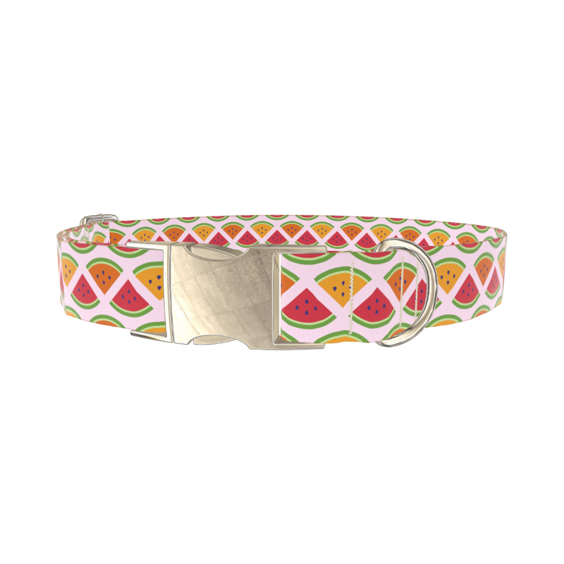 Fruit Slice Dog Collar