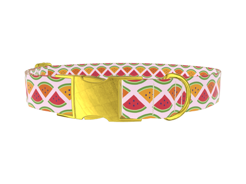 Fruit Slice Dog Collar