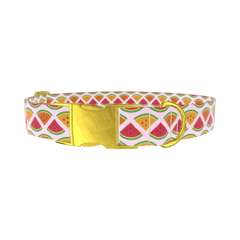 Fruit Slice Dog Collar