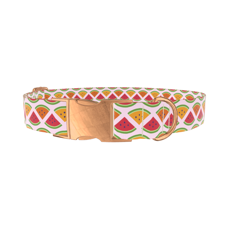 Fruit Slice Dog Collar