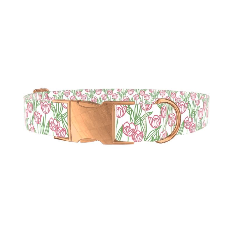 Pink Tulip Sketch Dog Collar