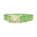 Green Musical Note Dog Collar - plastic gold