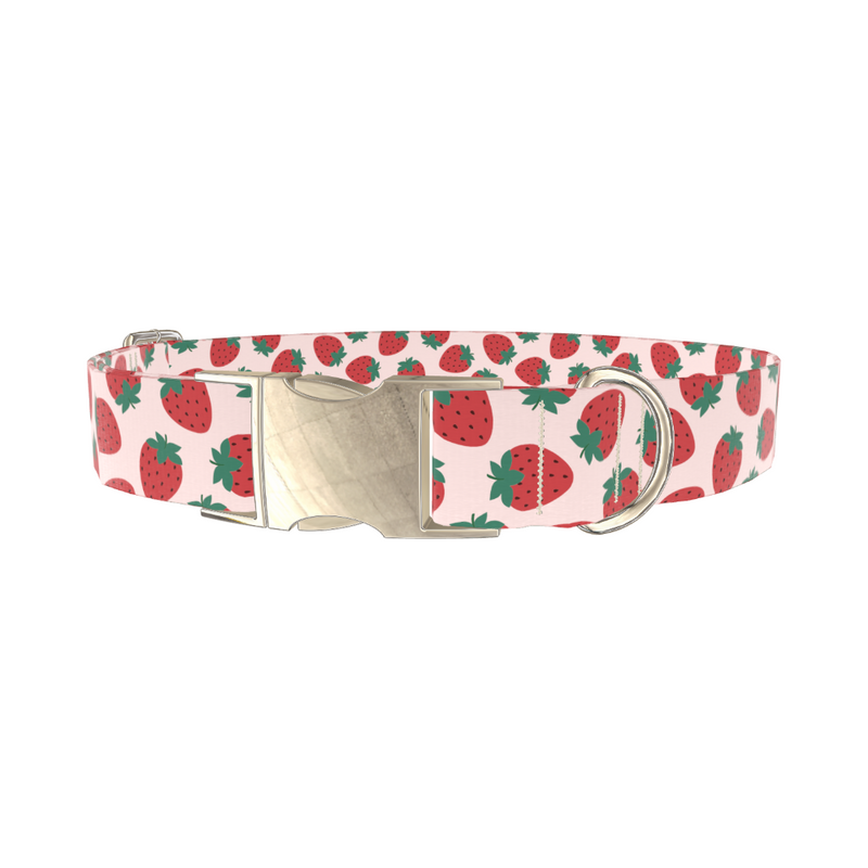 Red Strawberry Pattern Dog Collar