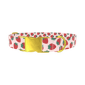 Red Strawberry Pattern Dog Collar - Thumbnail 1