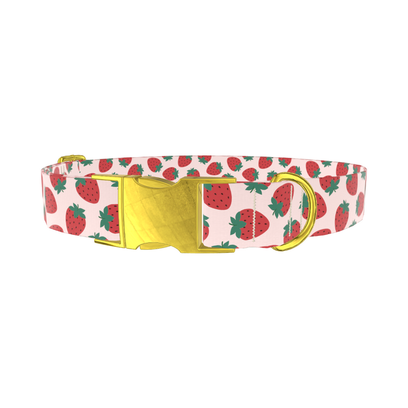 Red Strawberry Pattern Dog Collar