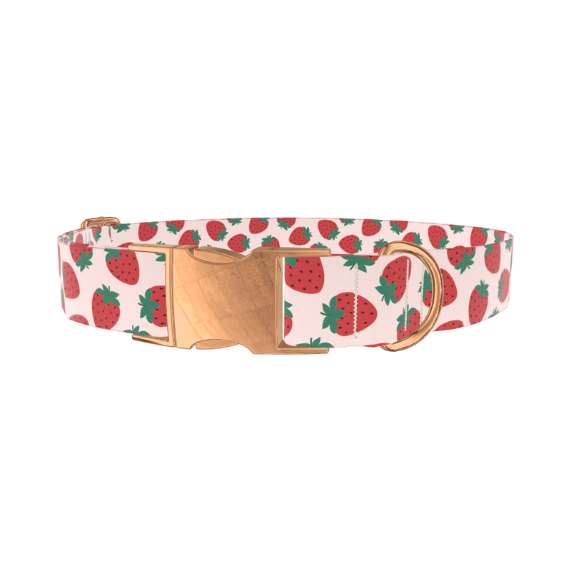 Red Strawberry Pattern Dog Collar