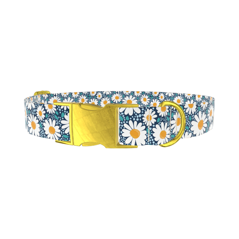 Floral Chamomile Dog Collar