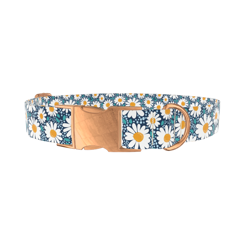 Floral Chamomile Dog Collar
