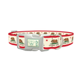 California Republic Flag Dog Collar - plastic silver