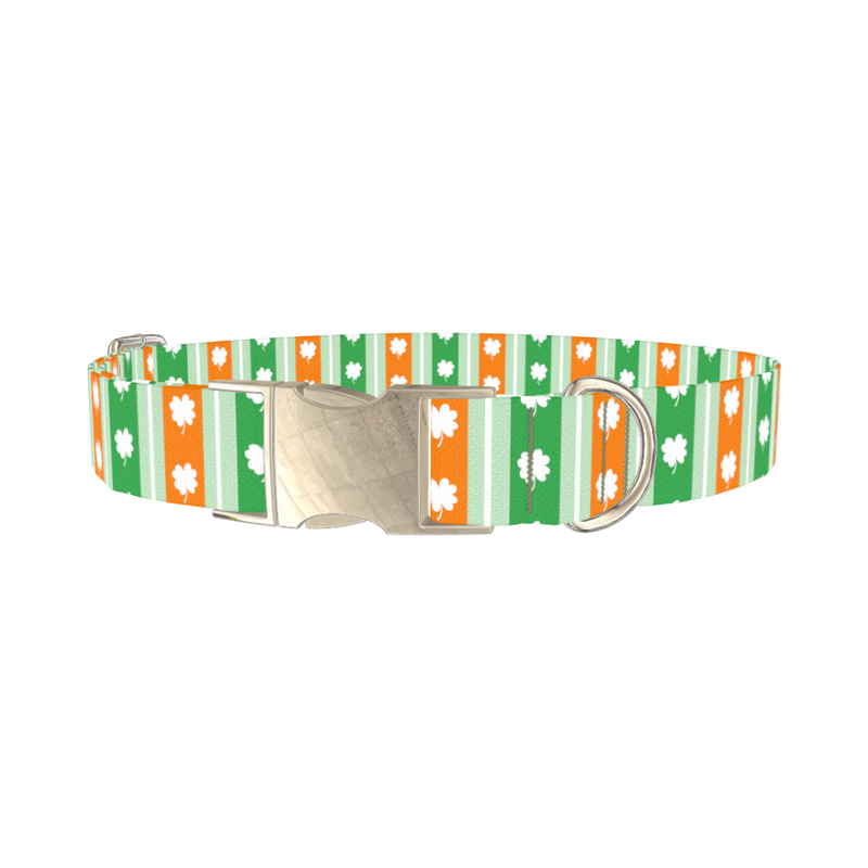 St. Patrick's Shamrock Stripe Dog Collar - metal silver